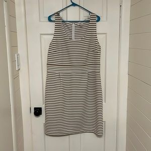 Loft Dress Size 16